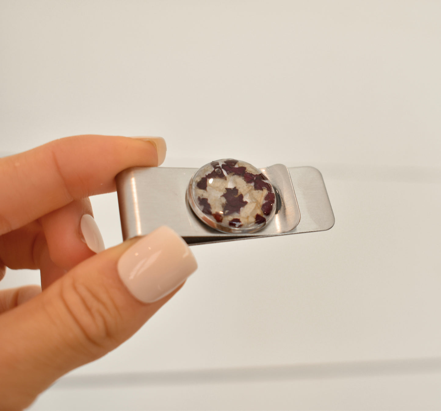 Money Clip