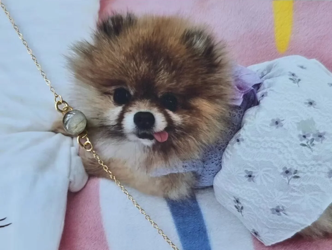  pet cremation jewelry