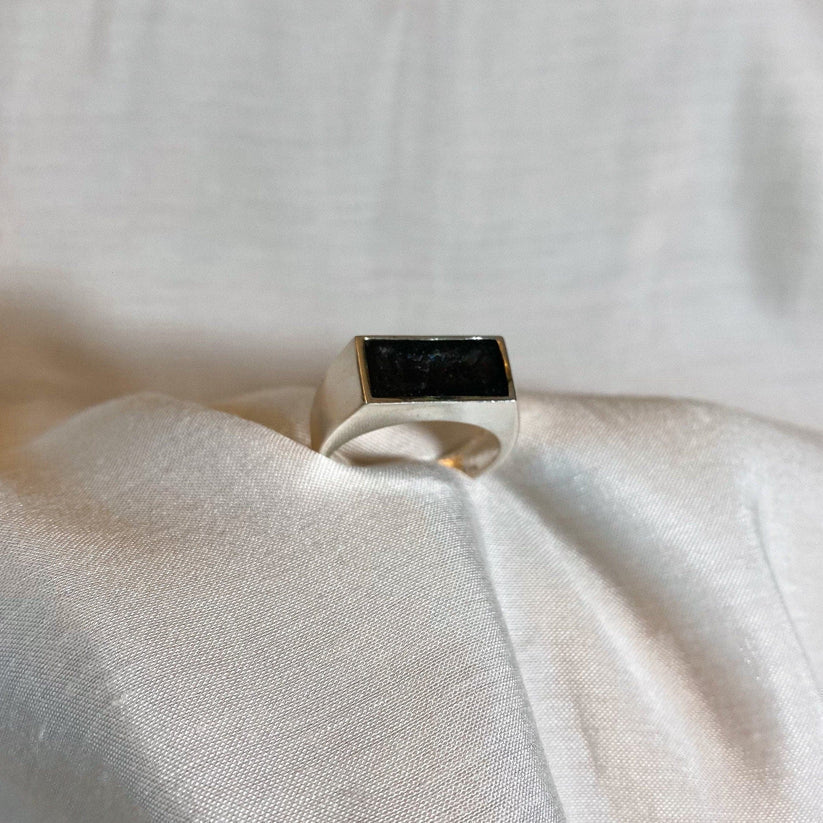 Men's Cremation Rings & Necklaces | Discreet 2026 Styles – Petals and ...