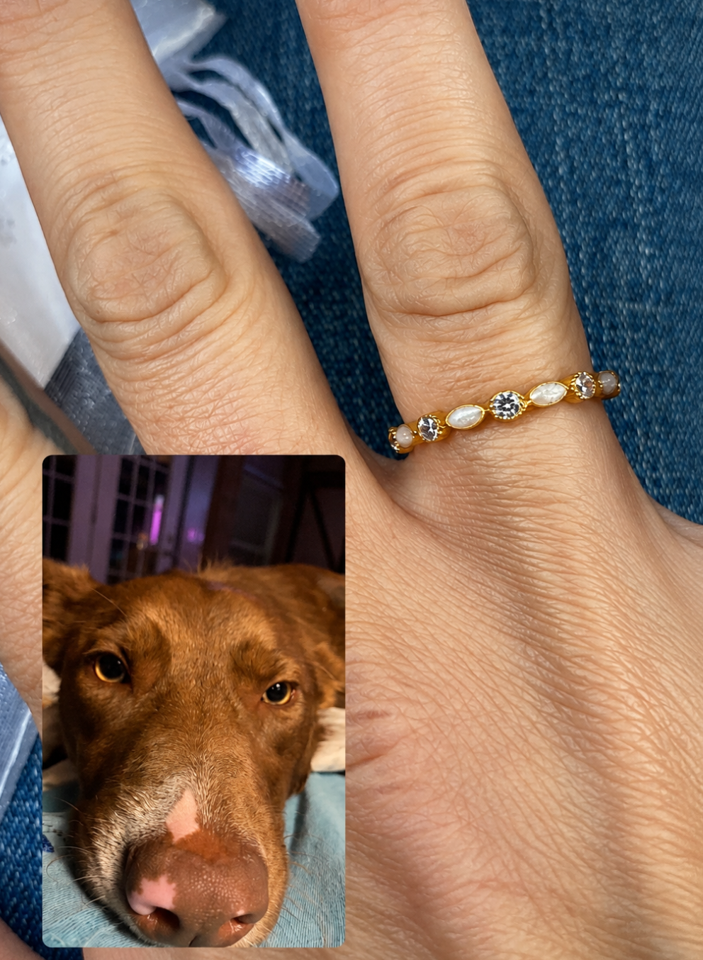 Pet Memorial Jewelry with Fur, Whiskers, or Paw Prints: Options Beyond Ashes
