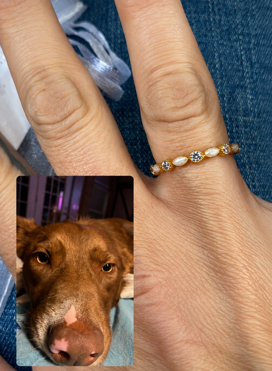 Pet Memorial Jewelry with Fur, Whiskers, or Paw Prints: Options Beyond Ashes