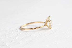 "Isabelle" Ring - Moissanite Collection